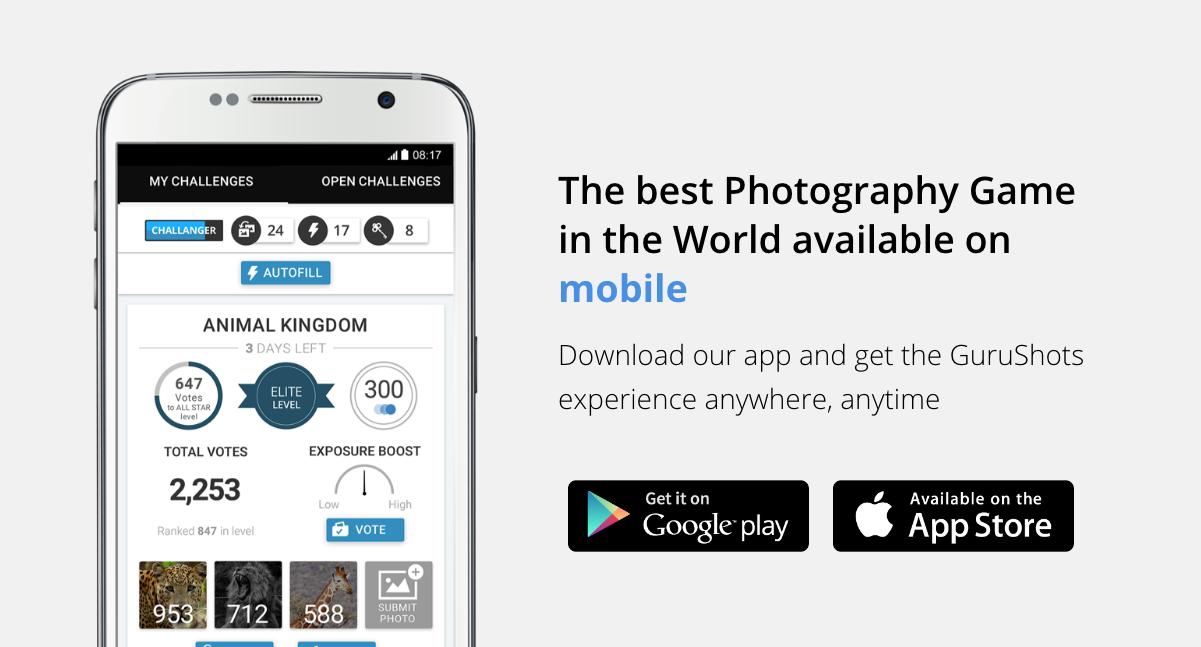 Gurushots gallery image