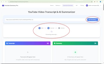 Youtube Summary Pro gallery image