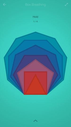 BreatheSonic gallery image