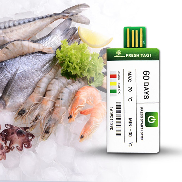 Temperature datalogger