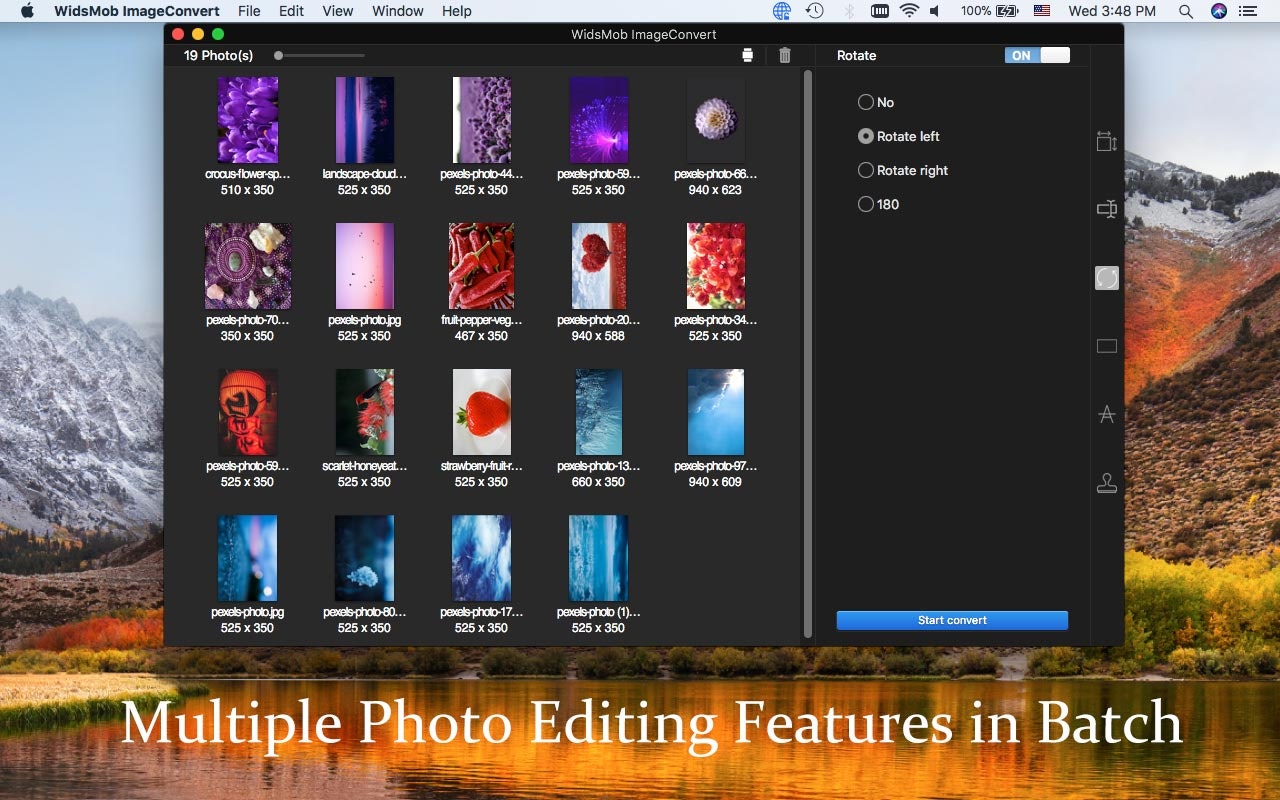 WidsMob Viewer gallery image