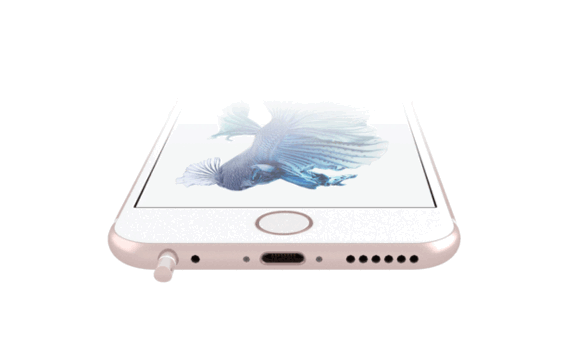 Apple Plug Image