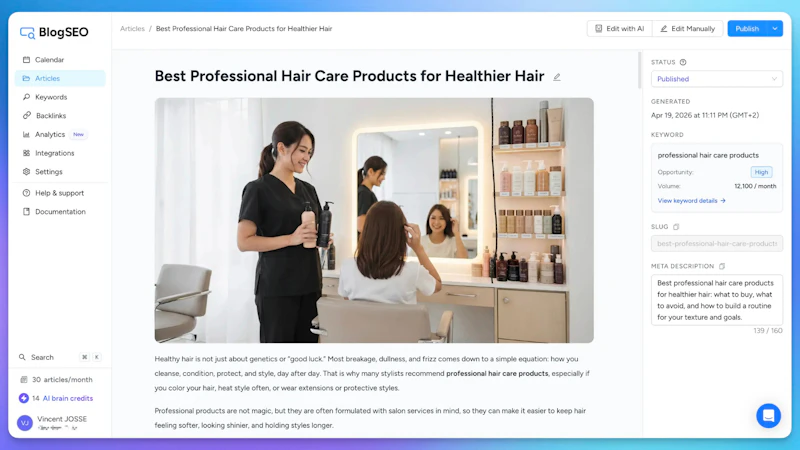BlogSEO screenshot 3