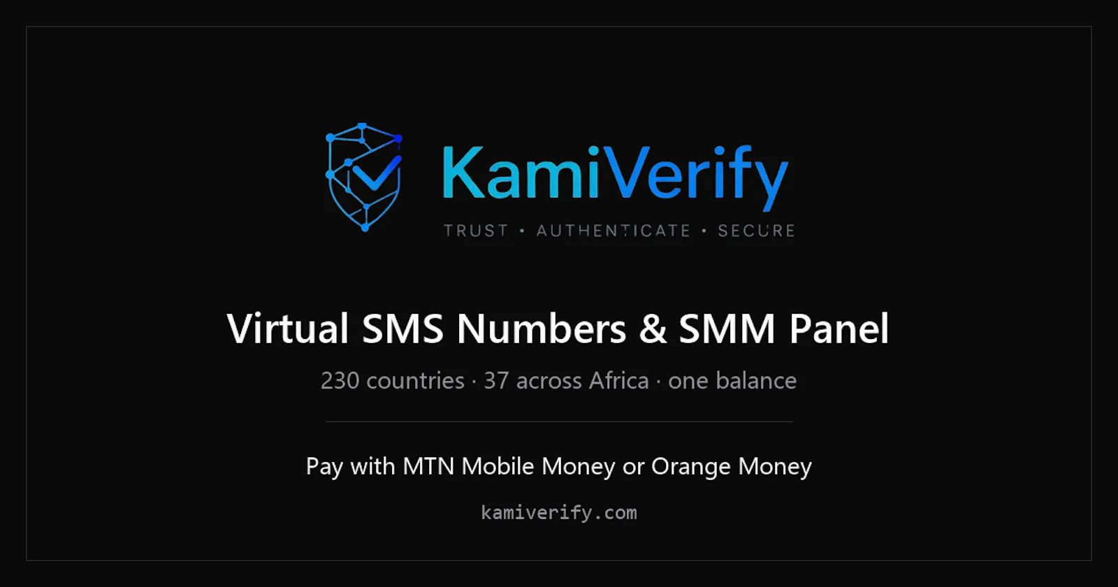 KamiVerify screenshot 1
