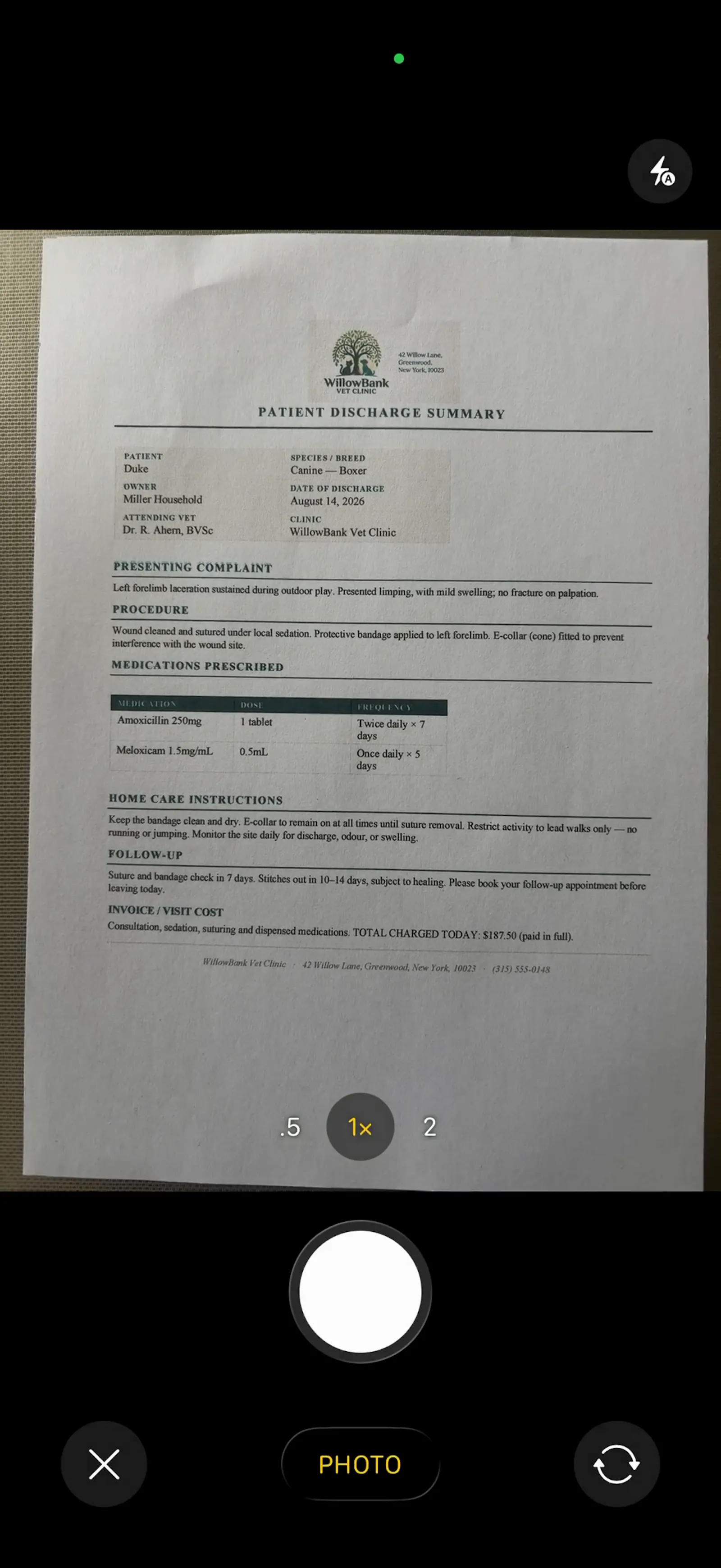 Kinex-pet screenshot 3