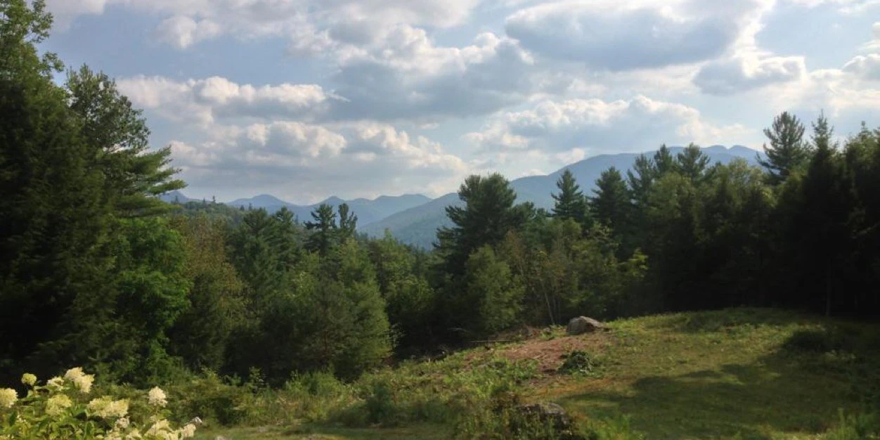 Chris Schroeder cover