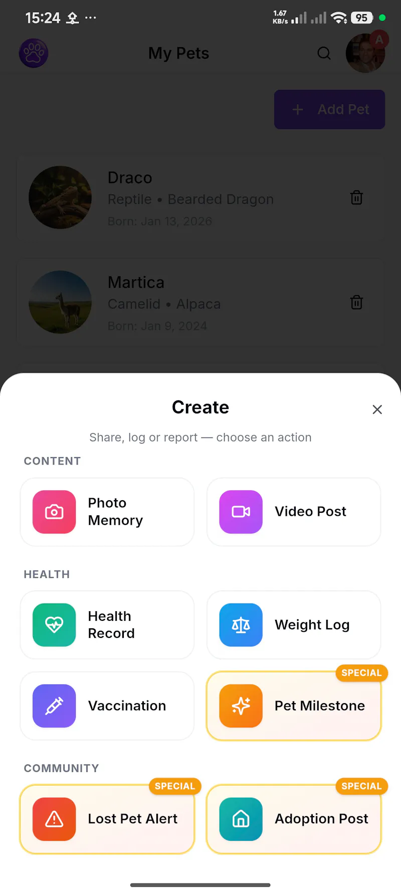 Petius screenshot 9