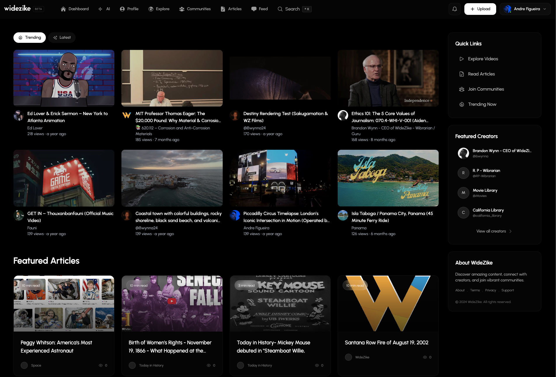 WideZike - Main product screenshot demonstrating key features and user interface