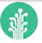 Plant an App