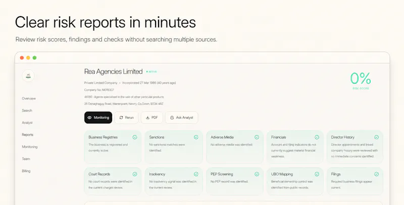 BizRisk AI Analyst screenshot 4