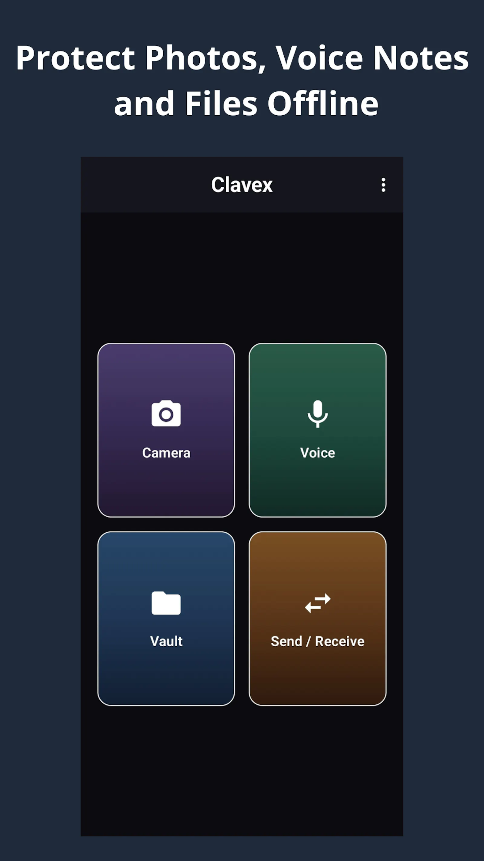 Encrypted Vault – Clavex screenshot 1