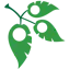 PlantTAGG