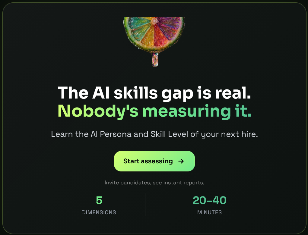 AISA AI Skills Test  gallery image