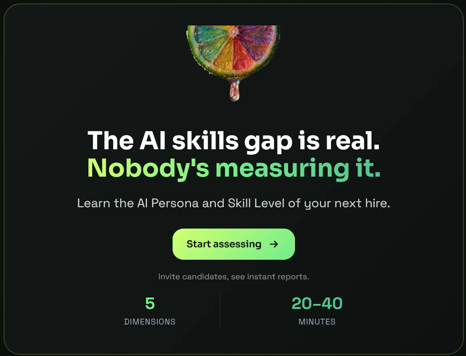 AISA AI Skills Test  screenshot 4