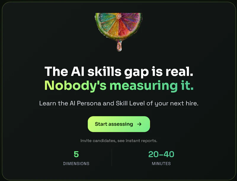 AISA AI Skills Test  screenshot 4