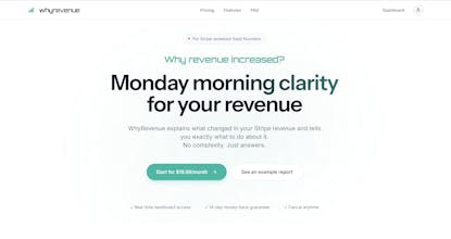 whyrevenue gallery image