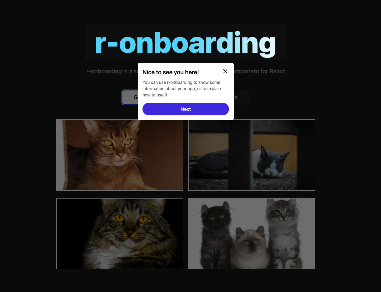 r-onboarding gallery image