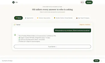 Oli gallery image