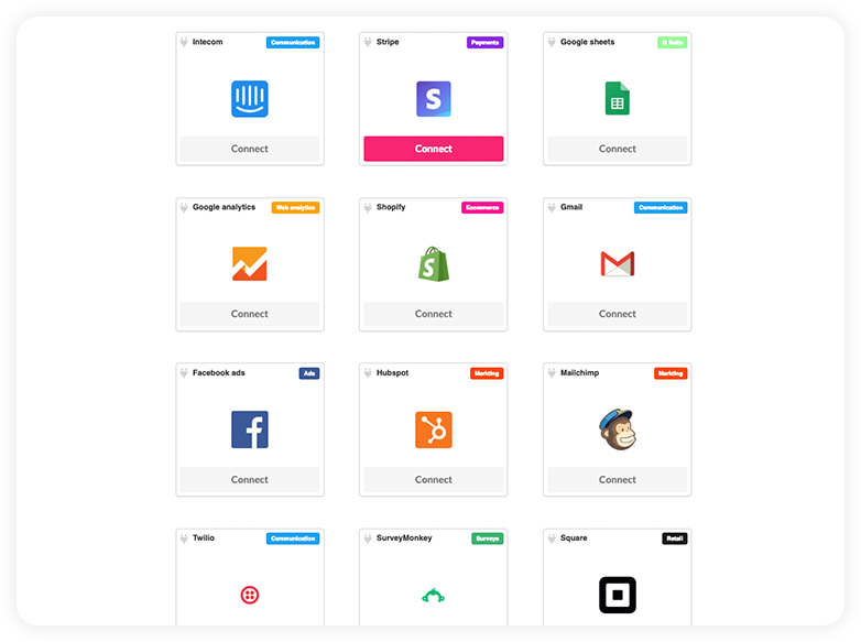 Squizz gallery image