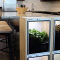 Replantable