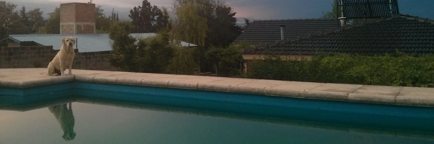 Rodrigo Morelli cover