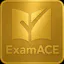 ExamAce