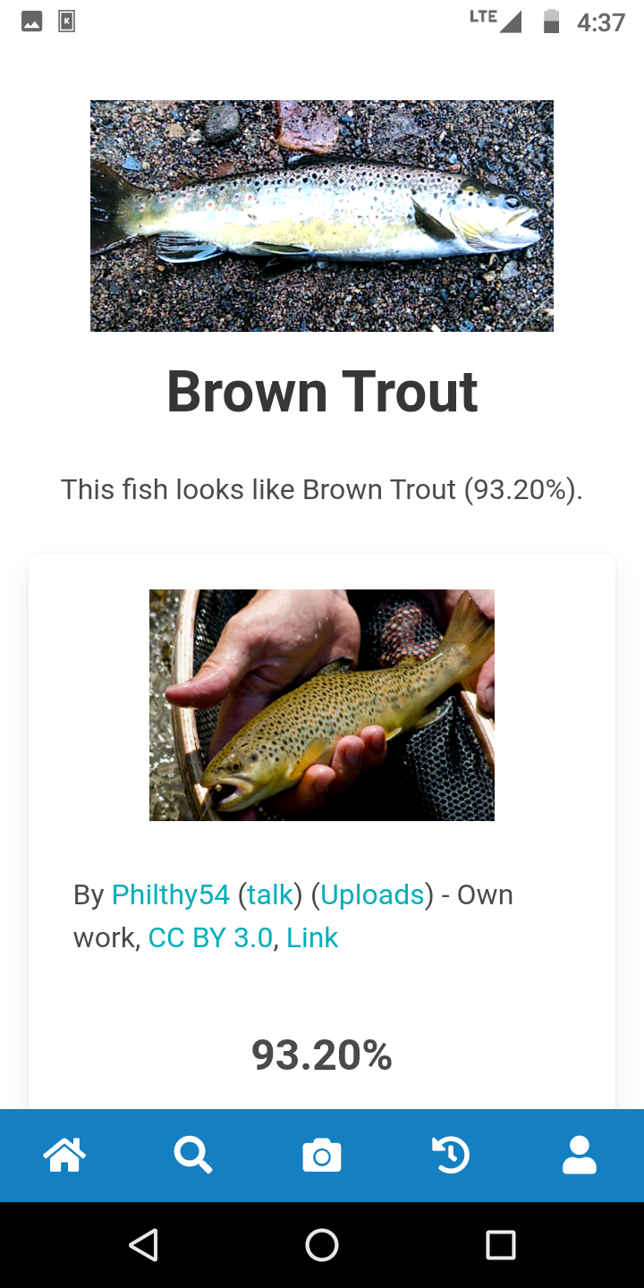 identifish gallery image