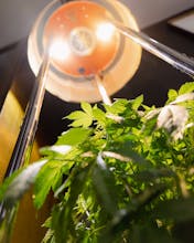 Annaboto gallery image