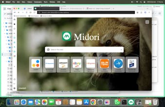 Midori Browser gallery image
