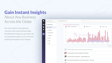 BrandMentions 2.0 gallery image