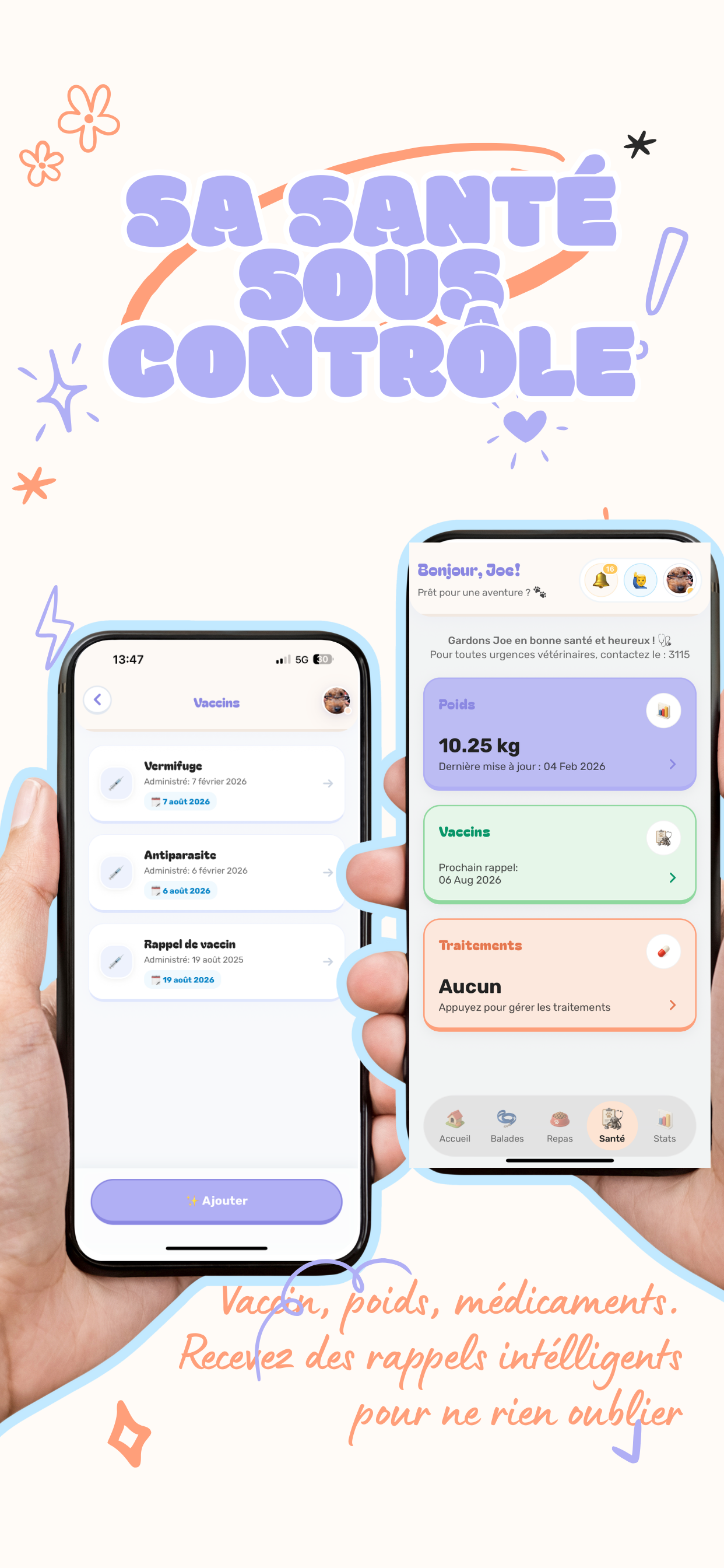 ToutouStory - Main product screenshot demonstrating key features and user interface