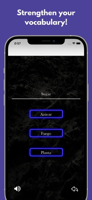 Spanish FlashVo gallery image