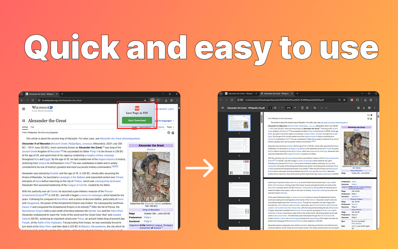 Save Page as PDF gallery image