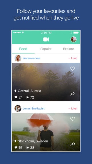 Birdplane gallery image