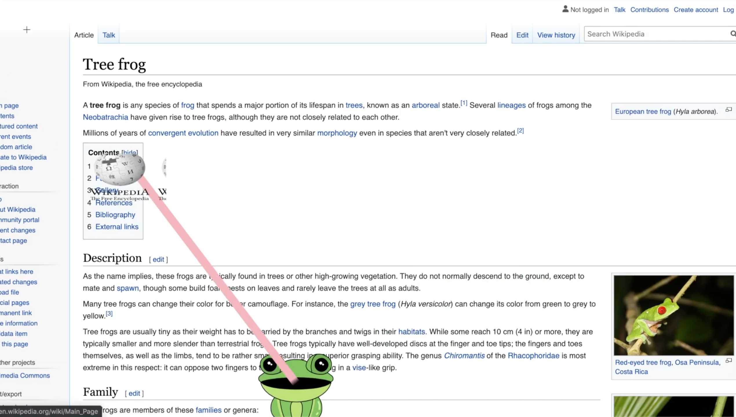 Laser Cat gallery image