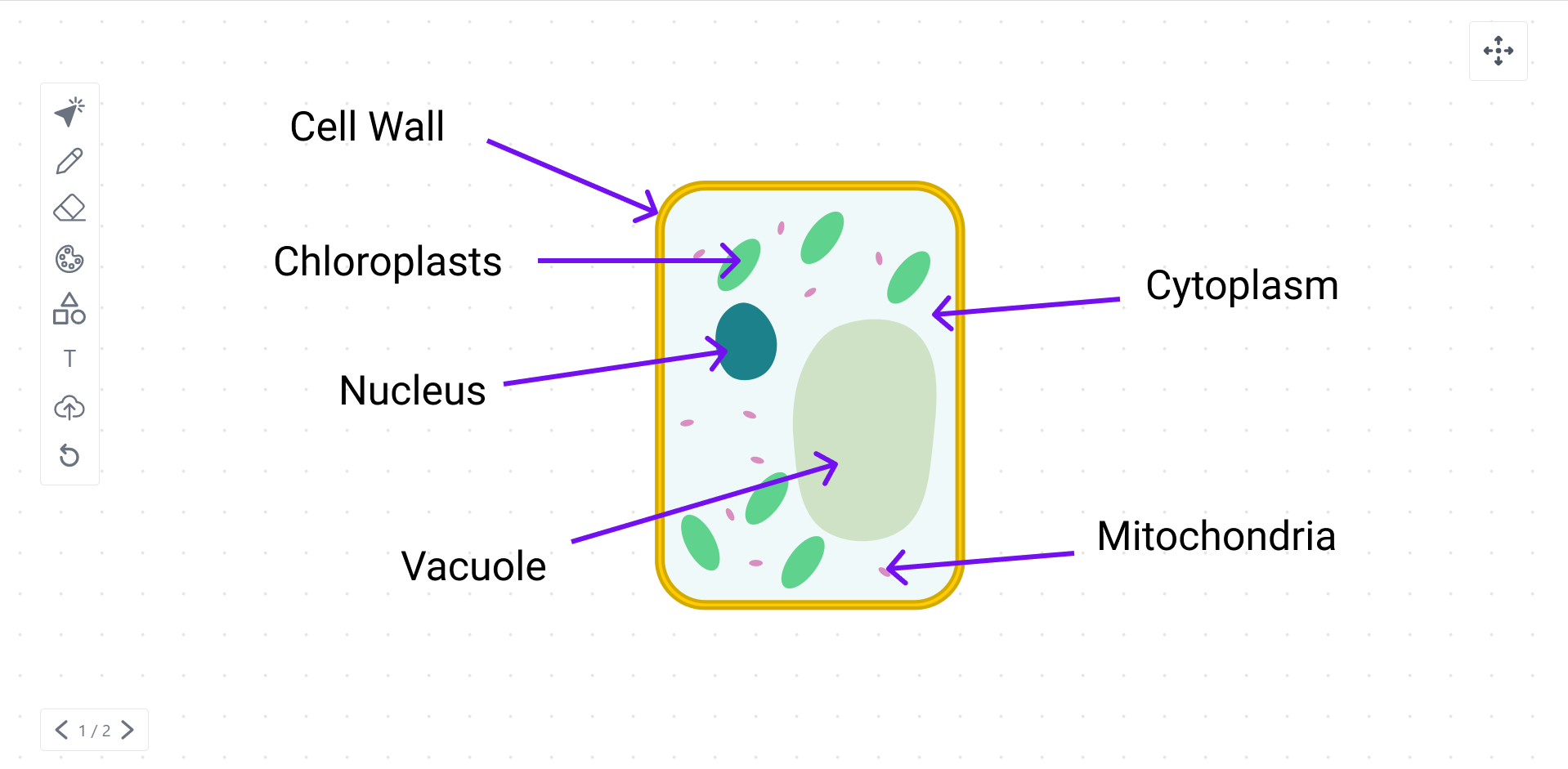 PixelPaper gallery image