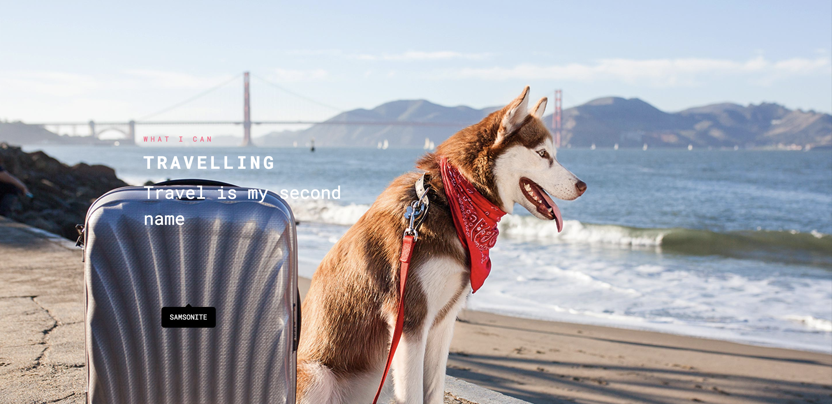 Space Goldman gallery image