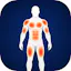 MuscleFatigueMap