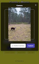 ShortMeme gallery image