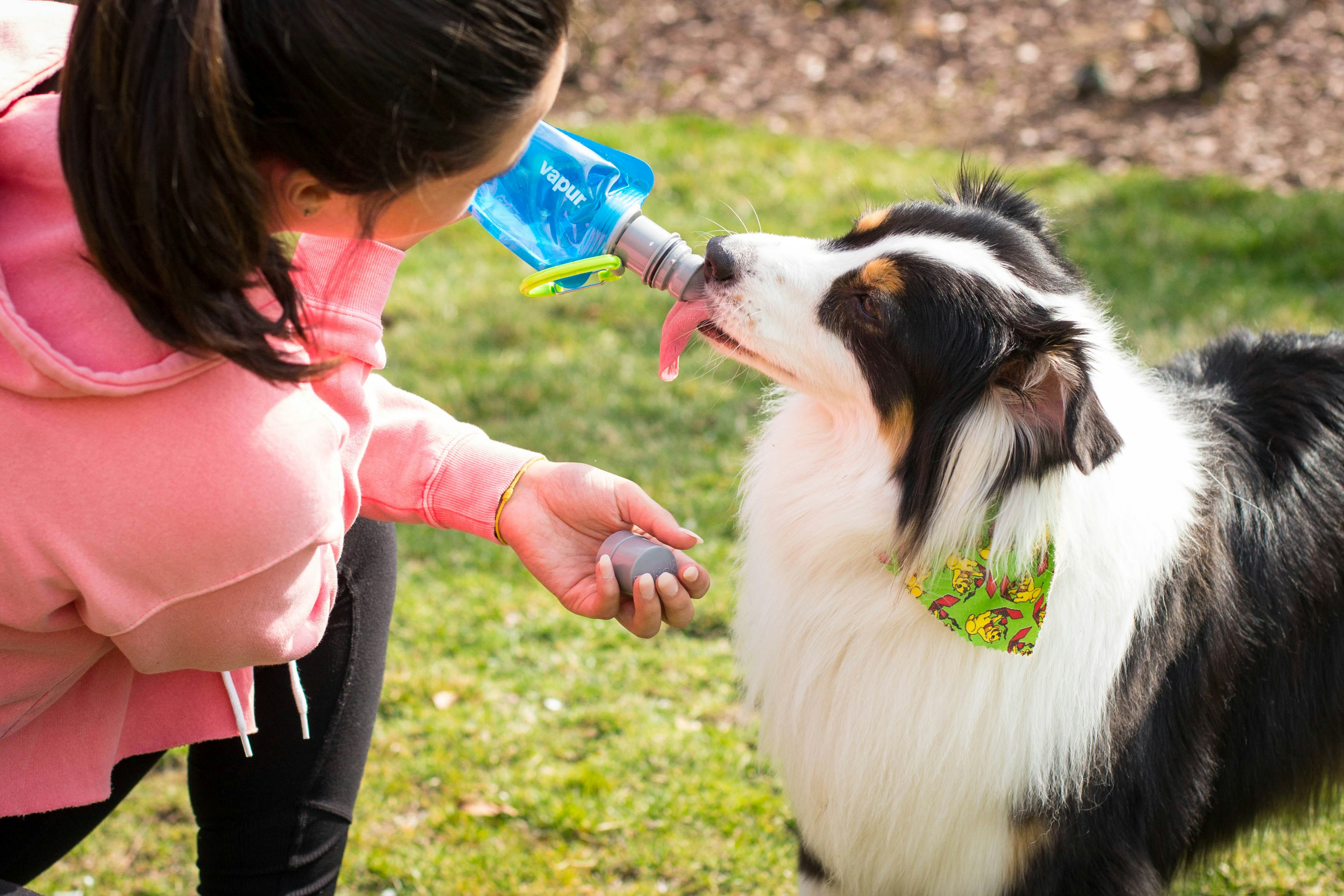Ez Lick Foldable Dog Bottle
