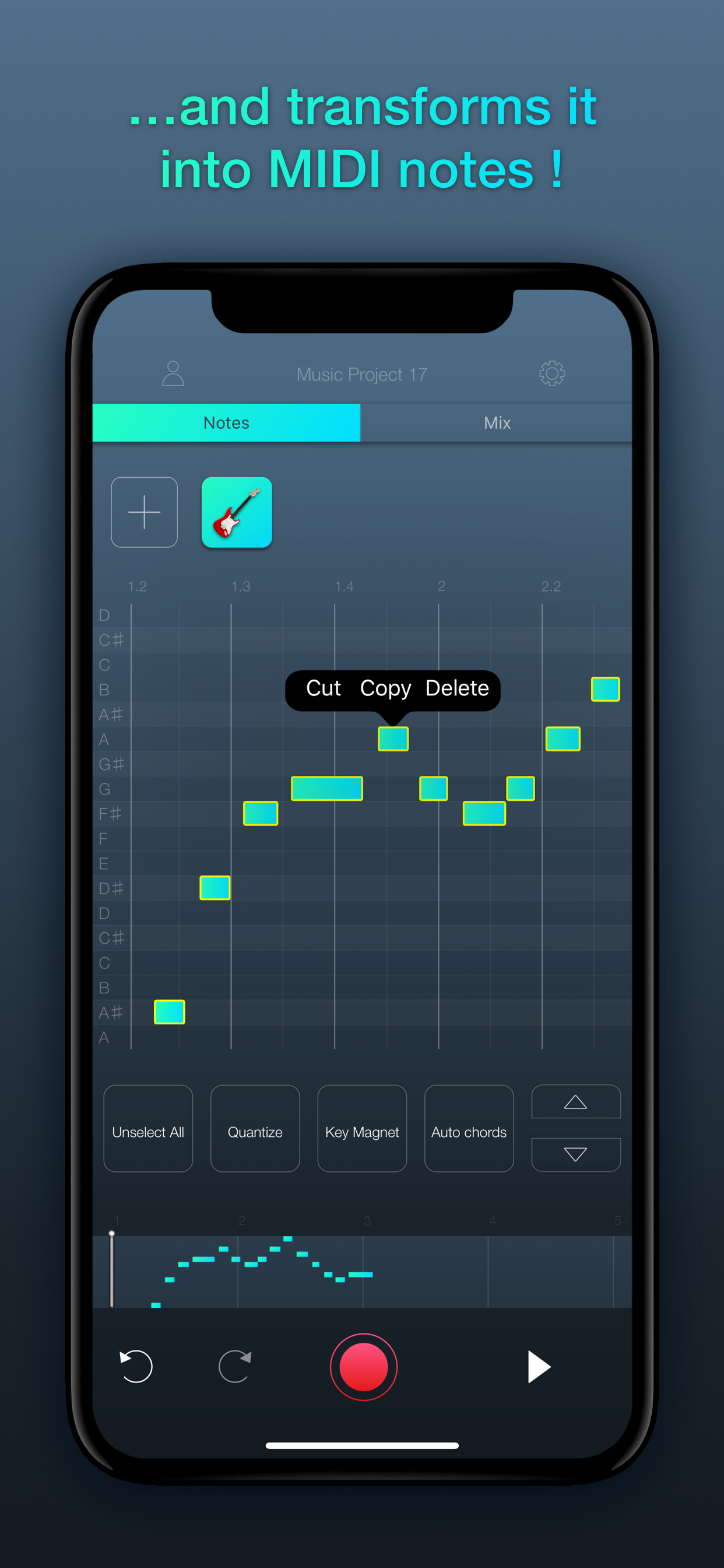 Symphonia gallery image