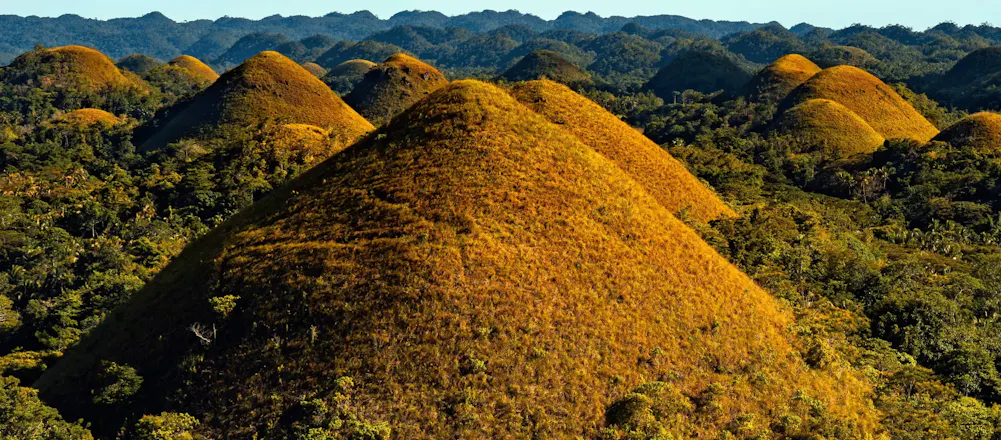 Boholano Travel And Tours gallery image