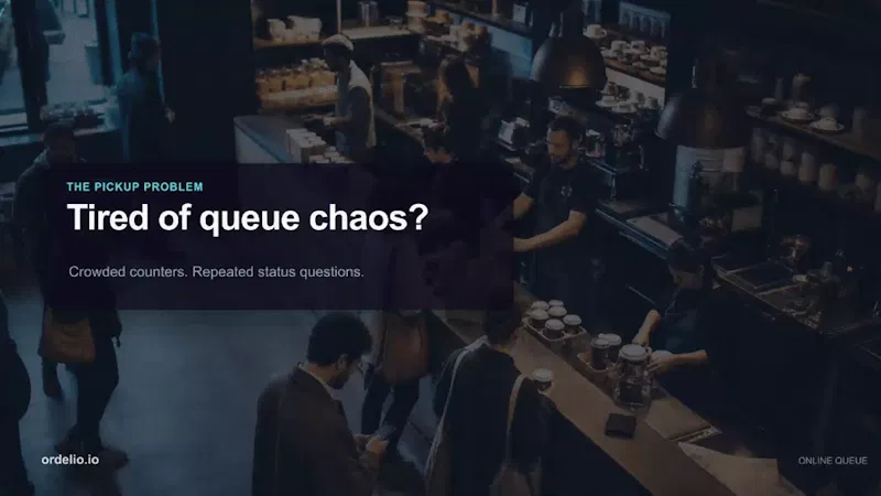 Ordelio.io screenshot 1 (video preview)