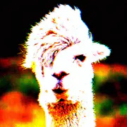 Deep Fried Meme Generator