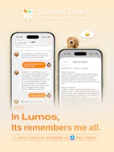 Lumos Diary gallery image