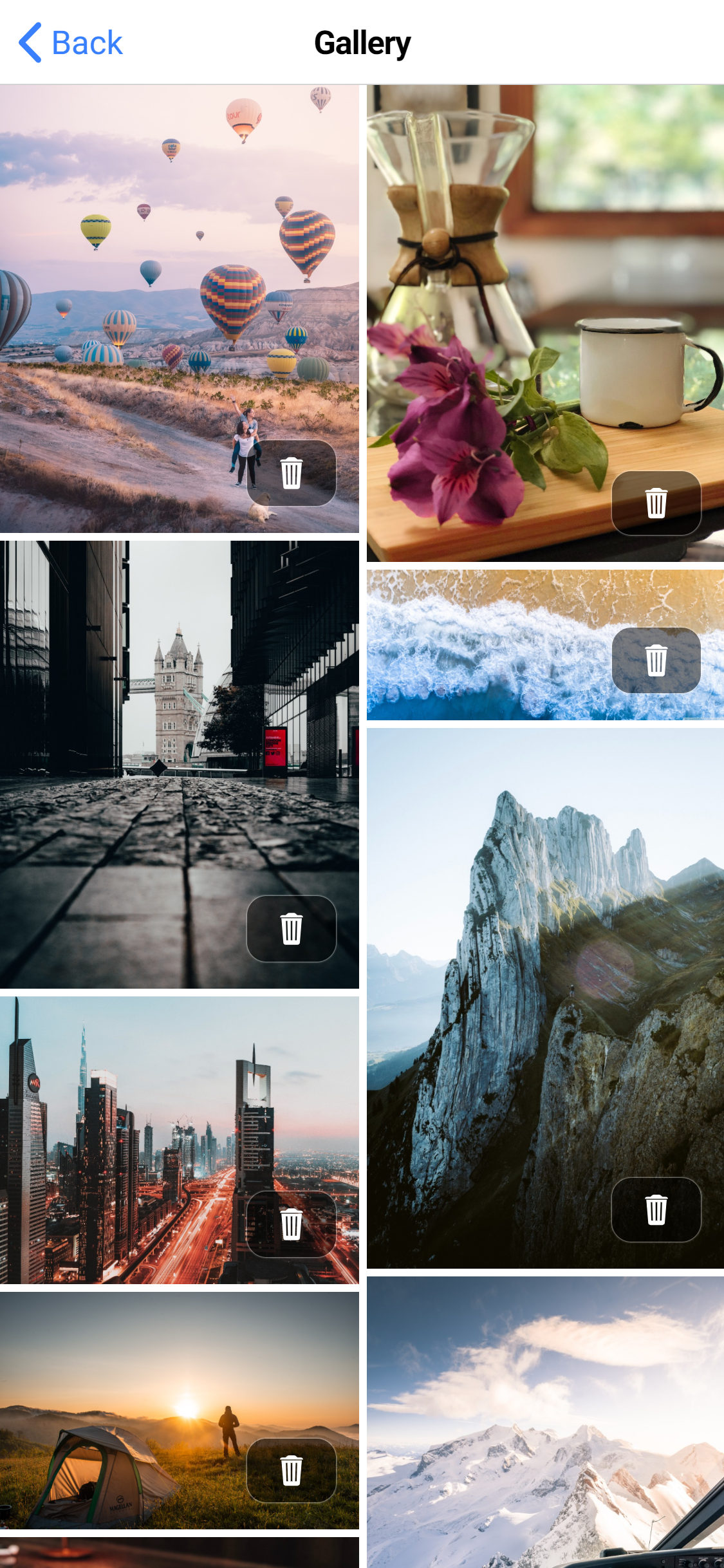 Lensy: Photo Vocabulary gallery image
