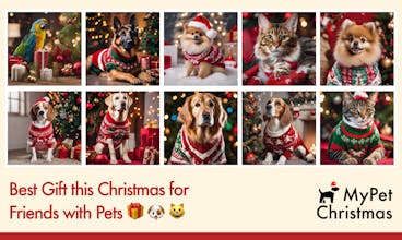 My Pet Christmas | High-res Pet Photos gallery image