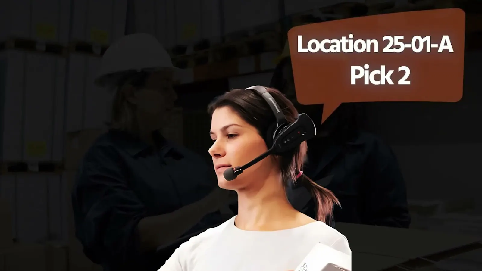 GiNi Voice Picking screenshot 1 (video preview)
