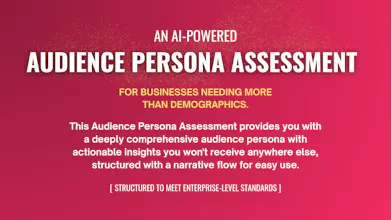 AI-Powered Audience Persona Assessment gallery image