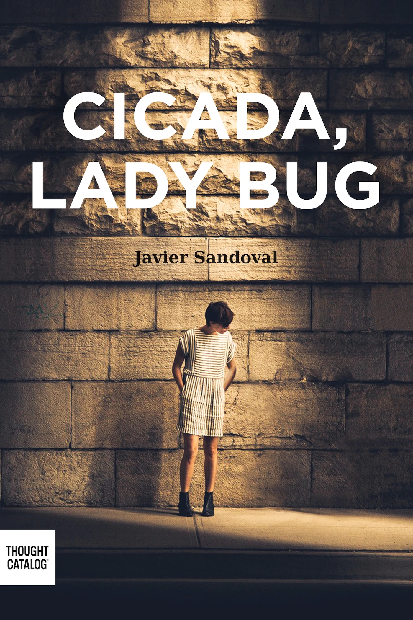 Cicada, Ladybug (NEW audio book version)